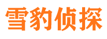 江岸出轨调查